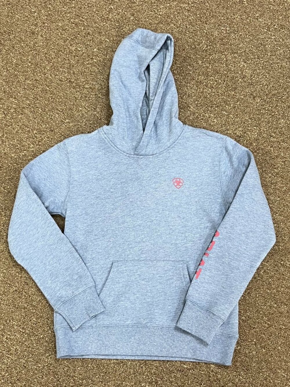 Ariat Girls' 2.0 Logo Hoodie - Vintage Indigo Heather